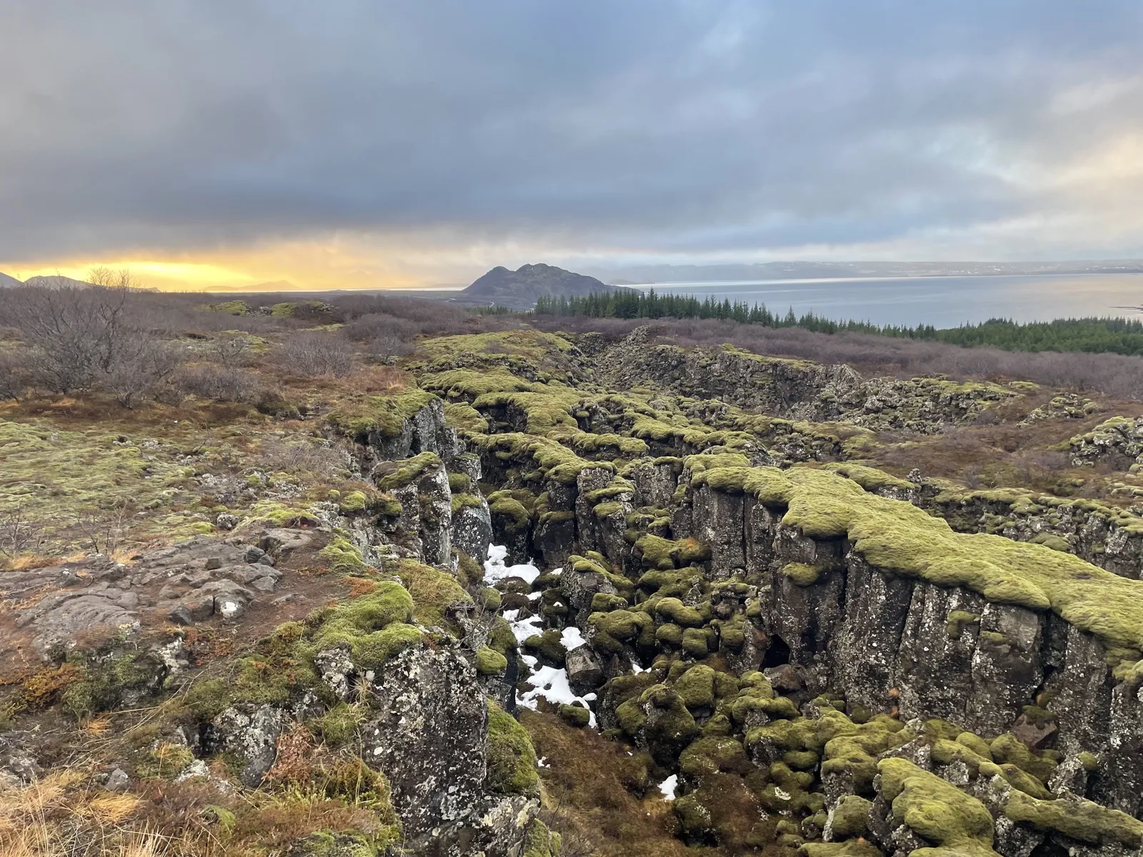 Moss-covered volcanic landscape in Iceland